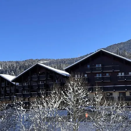 6 Pers, Parking, Ascenseur, Proche Pistes Et Commerces Appartement